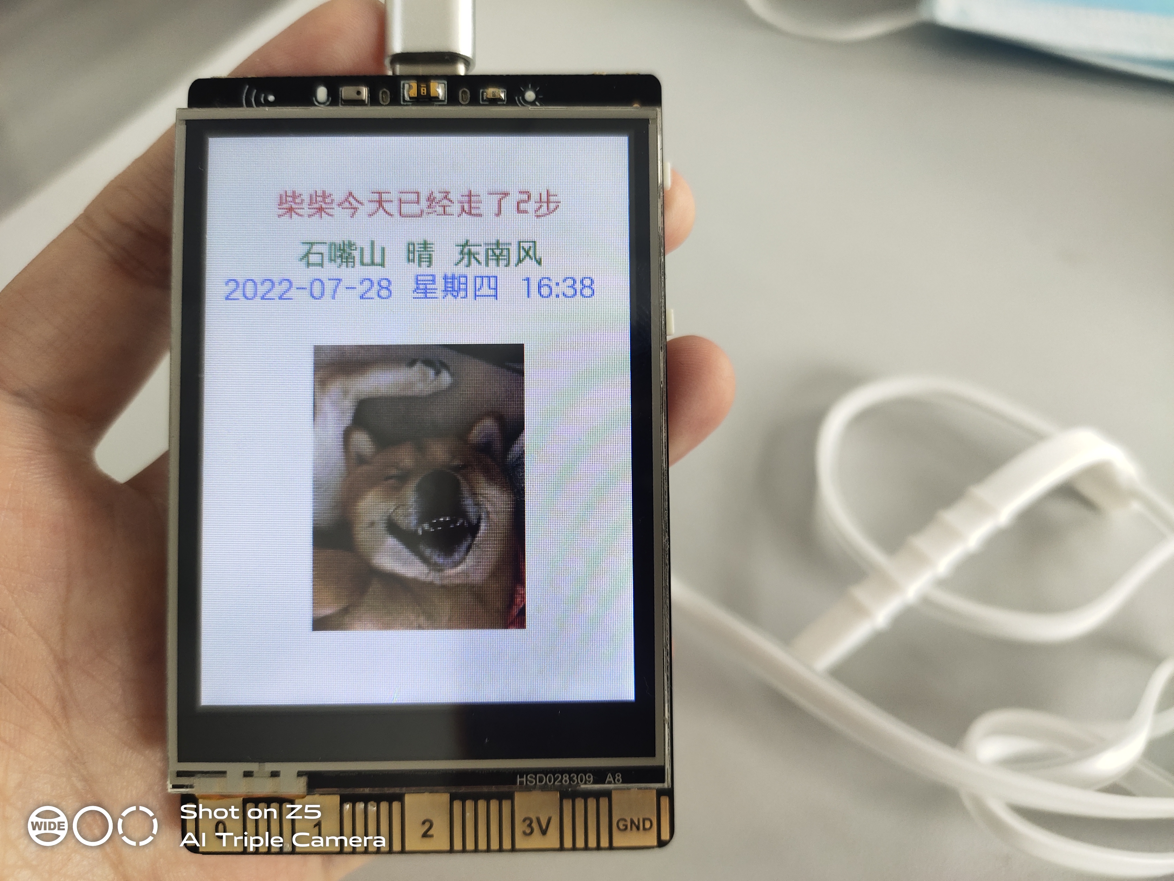 具有天气播报功能的宠物计步器|《勇敢柴柴爱遛弯》图2