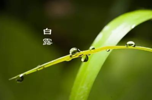 【行空绘图】Python绘制四边形图14