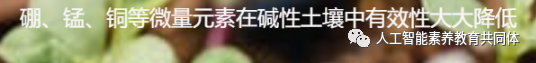 【PBL项目实战】户外智慧农场项目实战系列——6.文本与图...图25