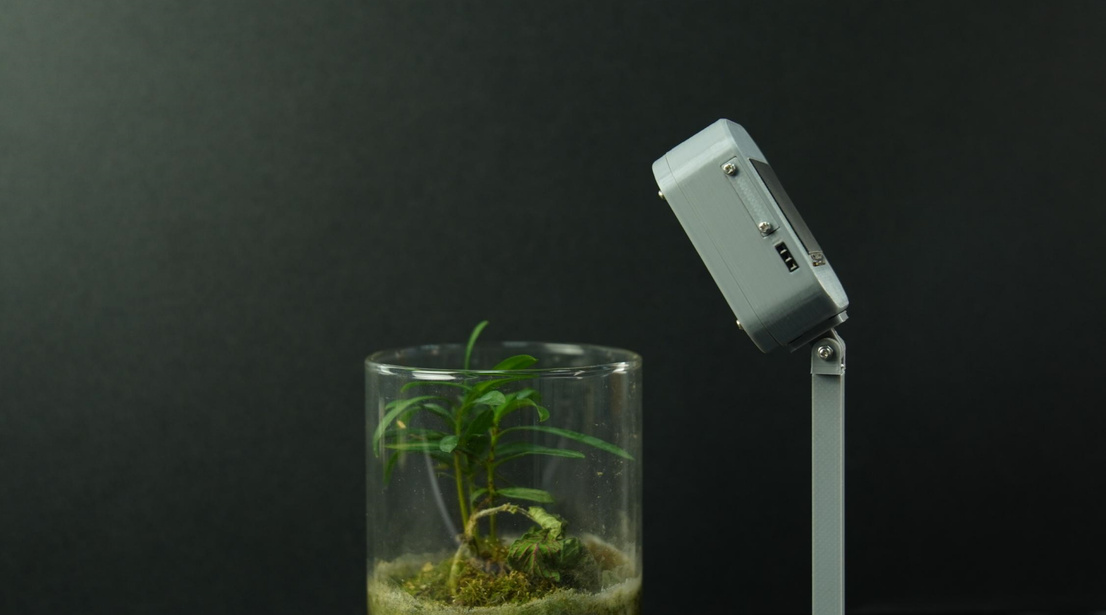 用S3做一个植物生长记录仪图4