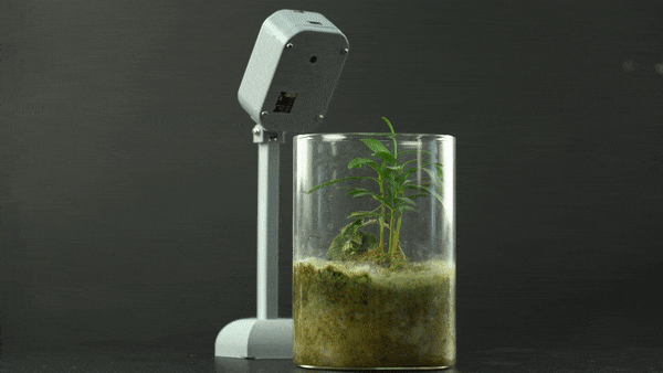 用S3做一个植物生长记录仪图7