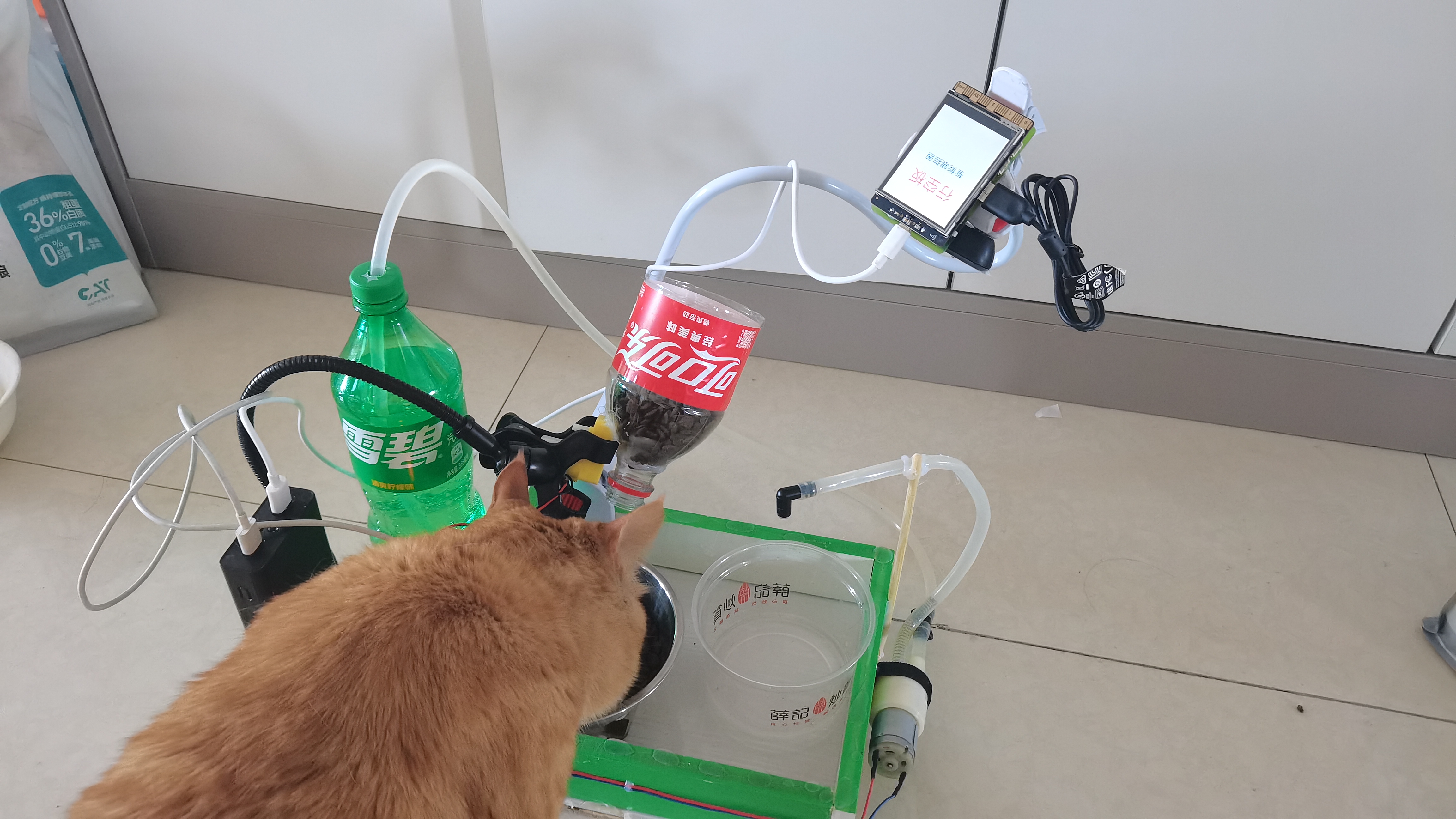 行空智能喂猫器图1