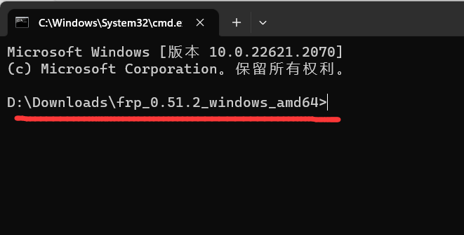 申请免费的二级域名并实现内网穿透图26
