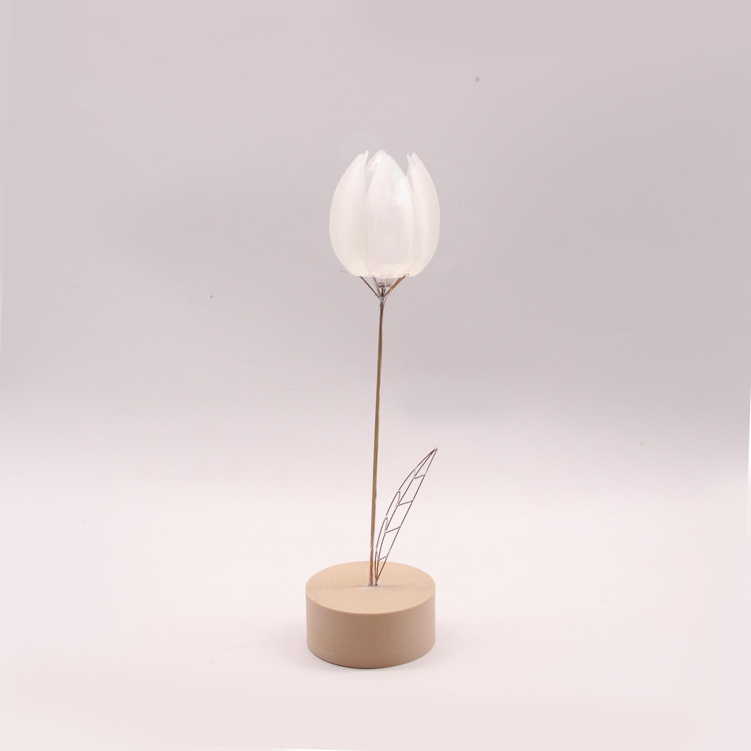 Mechanical flower（机械郁金香）图2