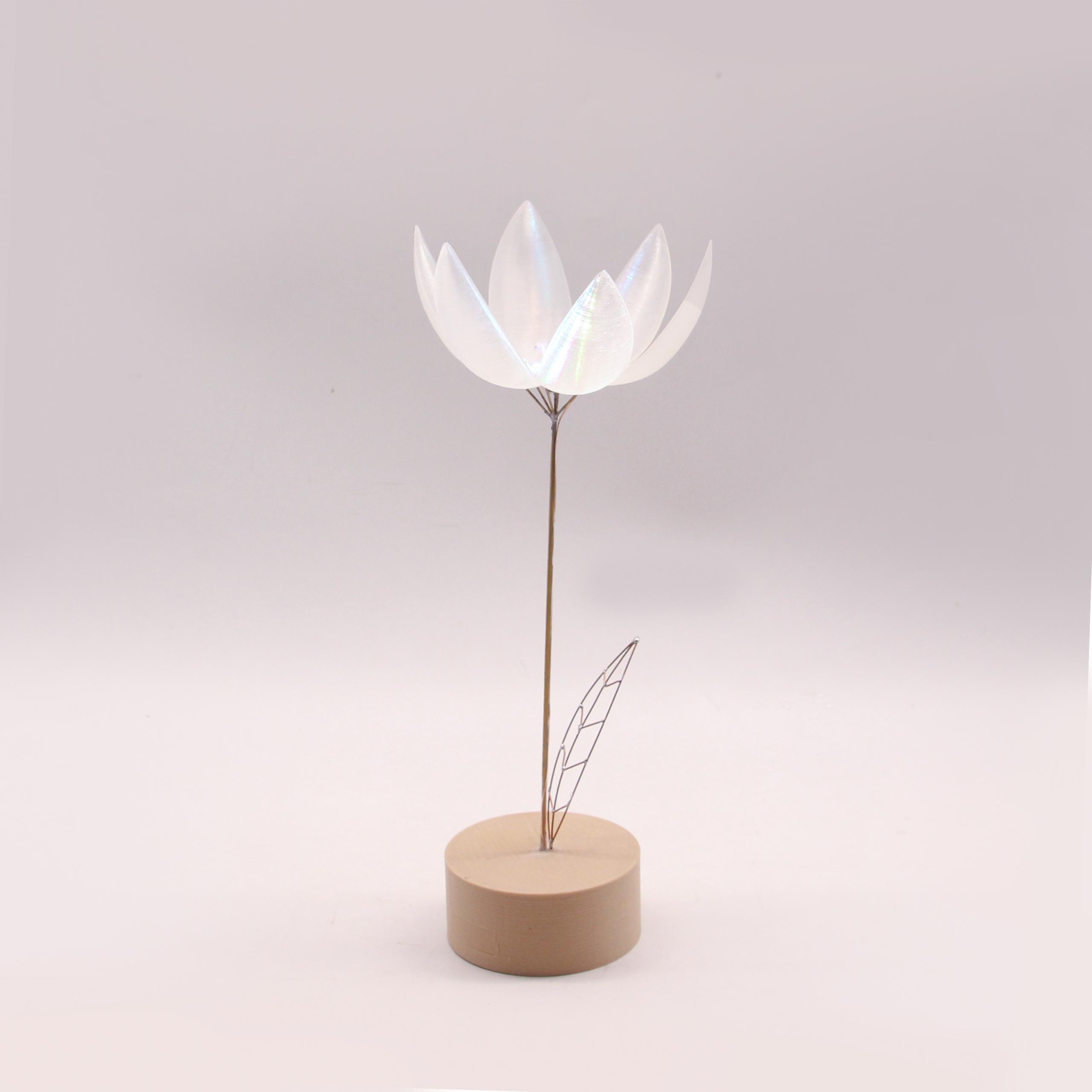 Mechanical flower（机械郁金香）图3