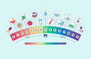 探索pH之谜：自制智能测量计项目图2