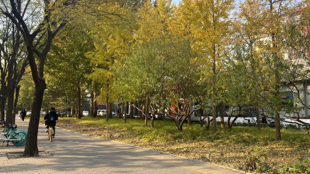 基于树莓派图像识别技术的街道绿化植被状态分析