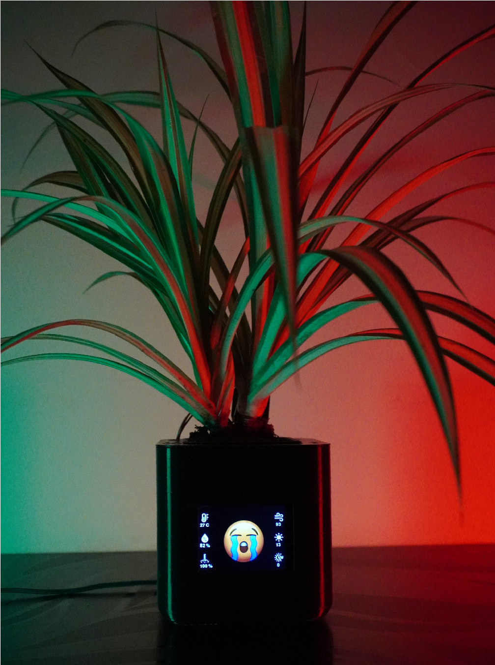 Pet Pot智能“宠物”花盆图50