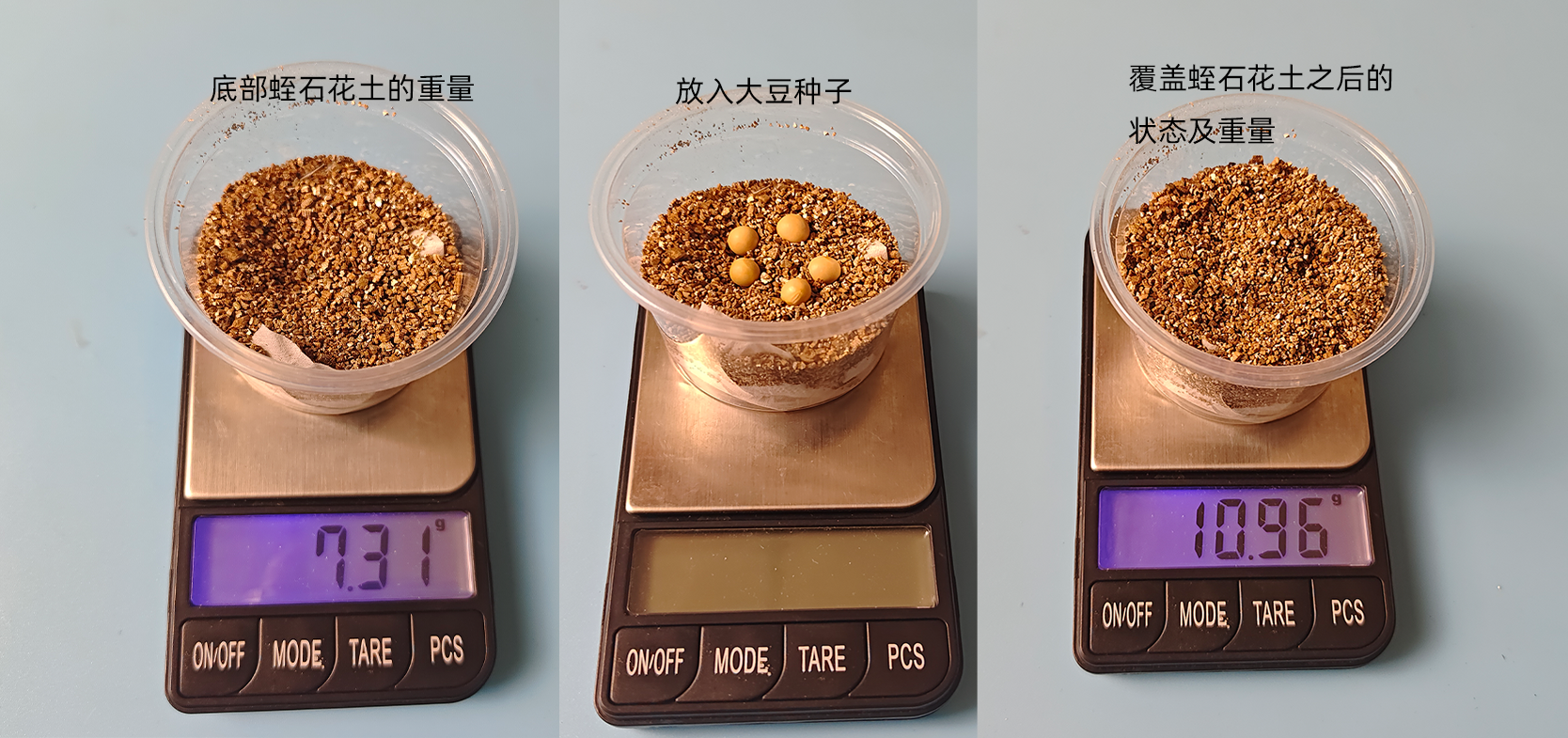 行空板K10在STEM项目“光照对大豆幼苗生长的影响”中...图4