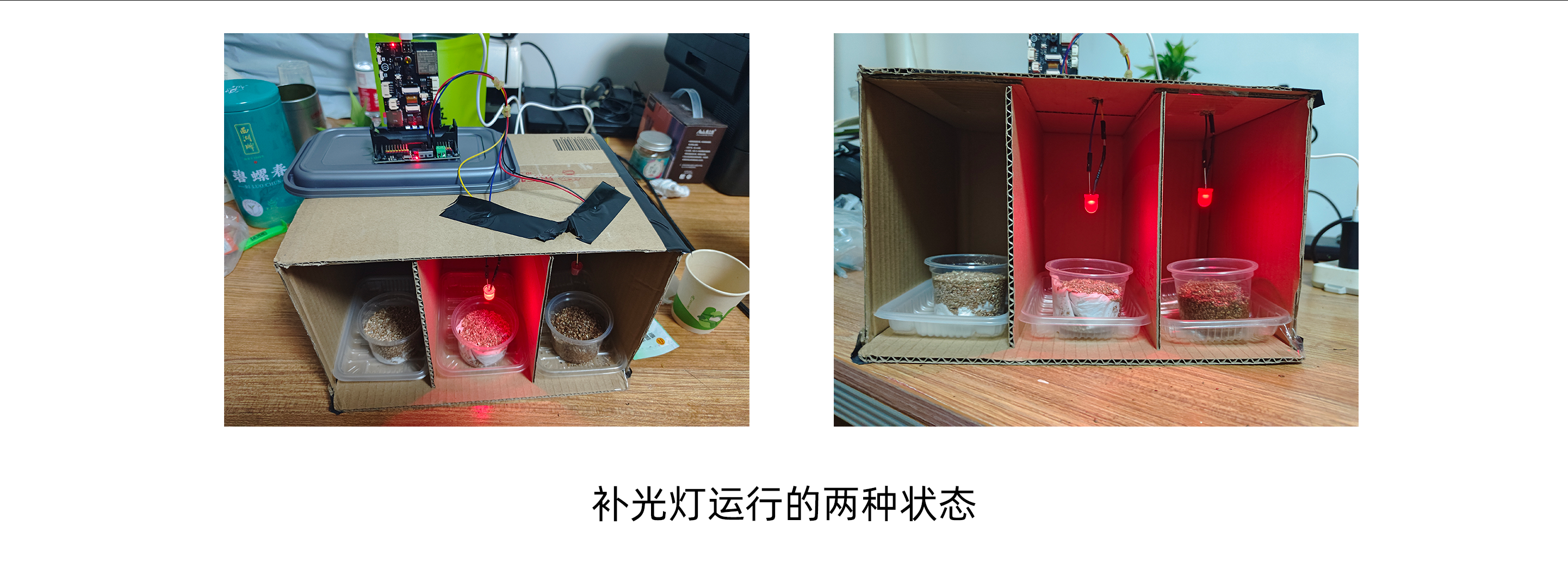 行空板K10在STEM项目“光照对大豆幼苗生长的影响”中...封面3