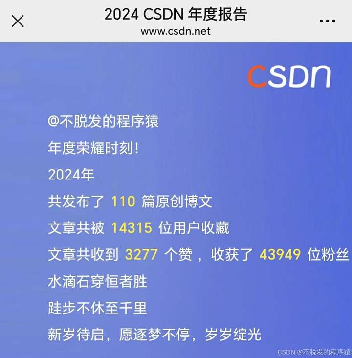 2024年总结及2025年规划：职场五年图5