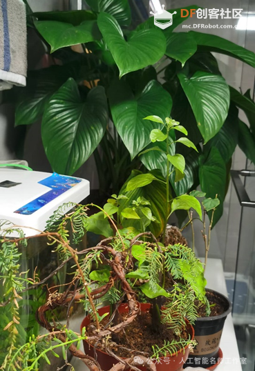 基于物联网技术的植物环境因素及其对夜间氧气消耗的...图5