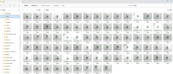 用esp32s3AI模块做昆虫活动时间观察记录仪图38