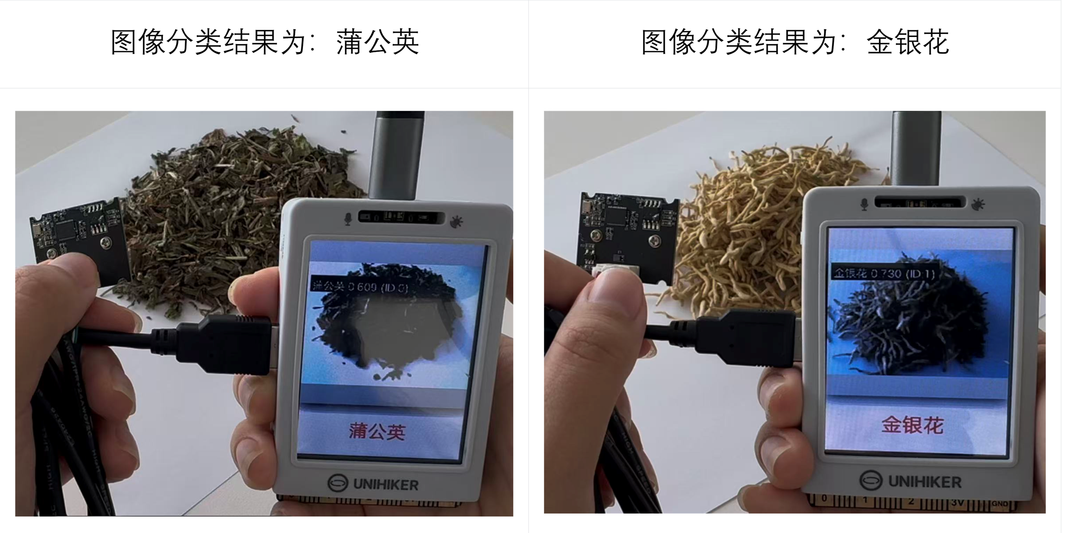 Mind+模型训练工具·图像分类任务：中草药智能识别器图3