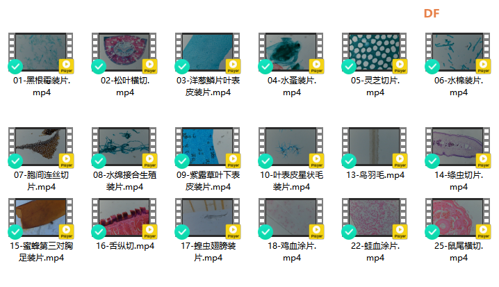 基于“二哈识图2”的传统显微镜AI智能化改造:模型训练图8
