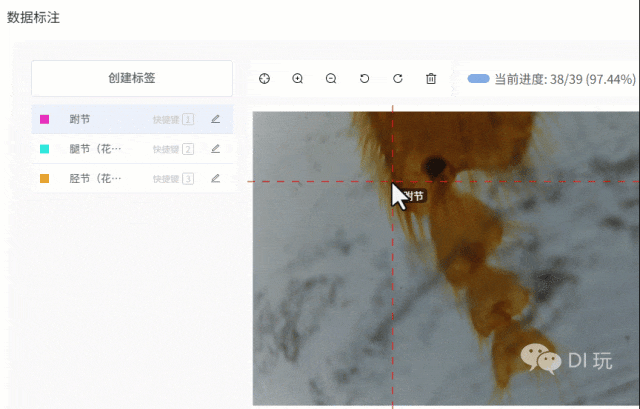 基于“二哈识图2”的传统显微镜AI智能化改造:模型训练图11