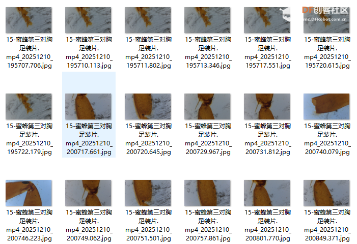 基于“二哈识图2”的传统显微镜AI智能化改造:模型训练图9