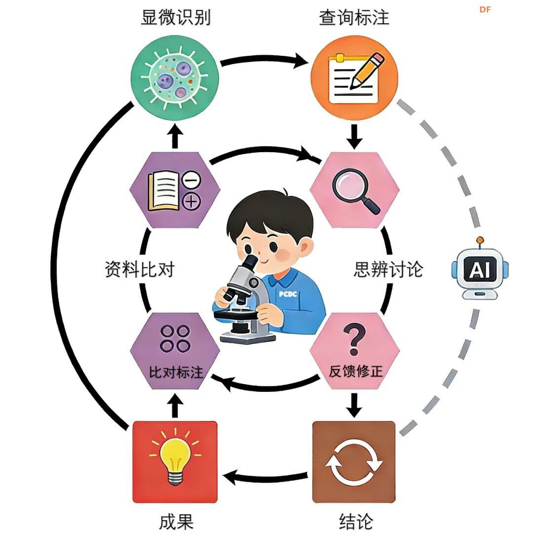 基于“二哈识图2”的传统显微镜AI智能化改造：模型训练封面1