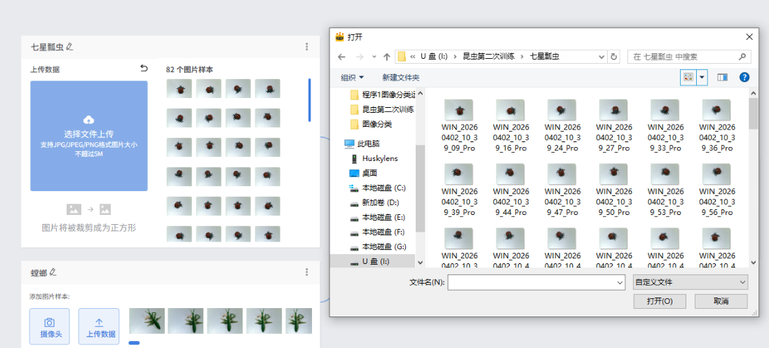 人工智能入门课程：与昆虫对话！二哈识虫开启孩子的...图4