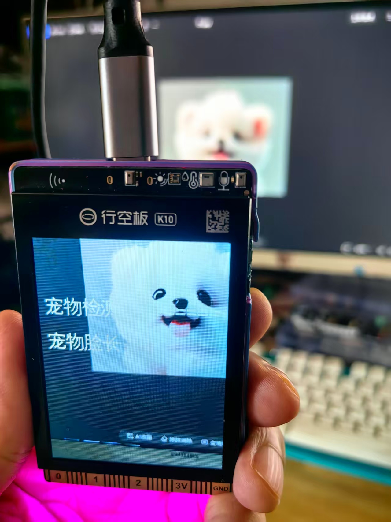 【花雕动手做】K10系列实验之猫狗脸检测动态宠物氛围灯图1