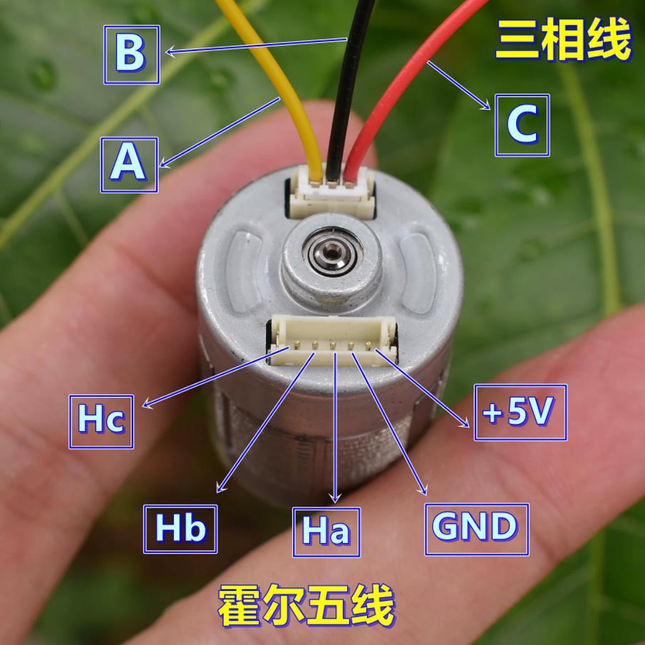 【花雕动手做】40WDC7.4V双滚珠轴承三相八线2430无刷电机图2