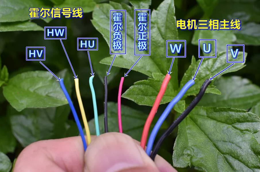 【花雕动手做】 三相八线 带霍尔 B3040M 无刷电机 DC12V图1