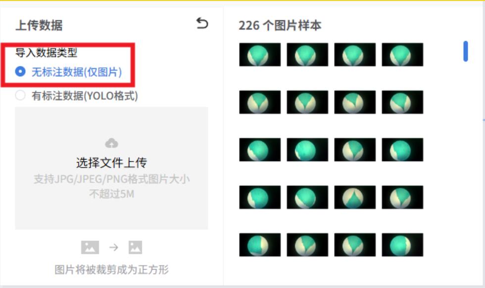 人工智能入门课程：二哈识图小智揭秘黑藻叶的内部密码图3