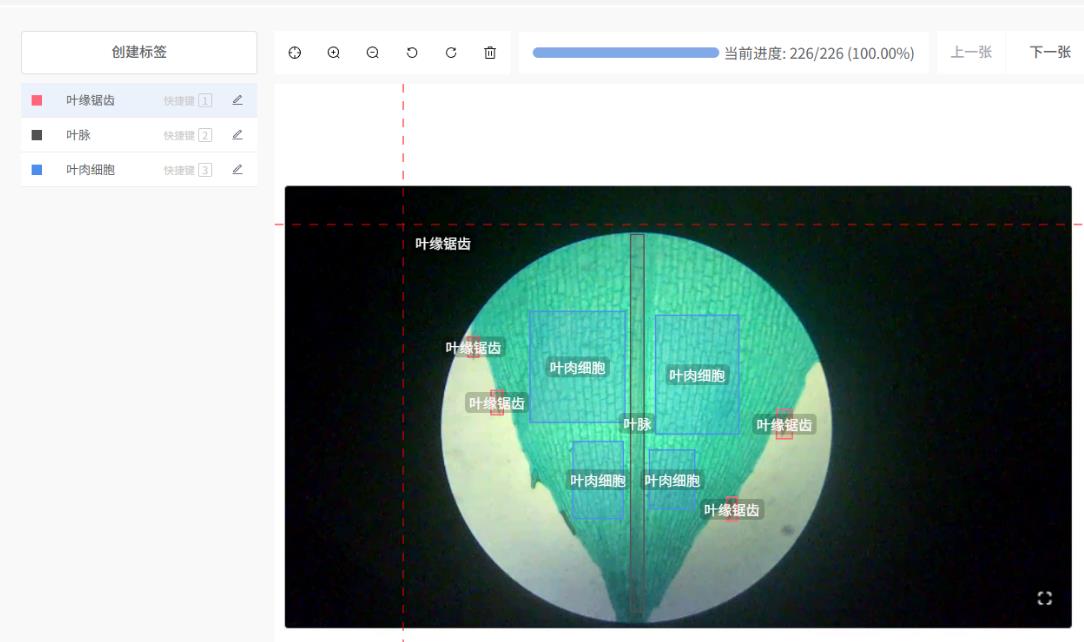 人工智能入门课程：二哈识图小智揭秘黑藻叶的内部密码图4