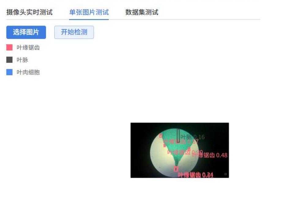人工智能入门课程：二哈识图小智揭秘黑藻叶的内部密码图9