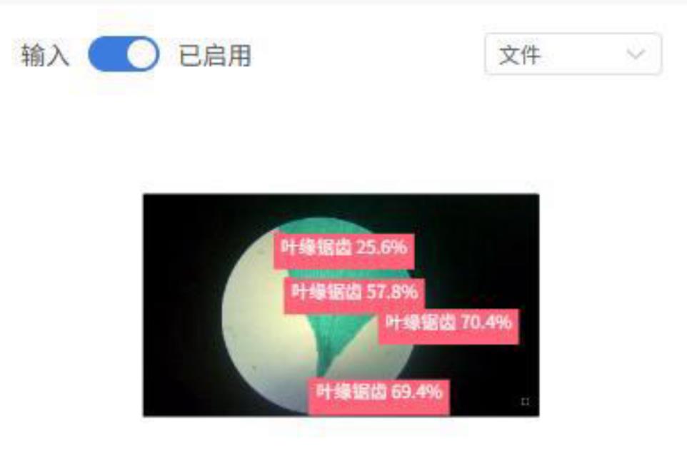 人工智能入门课程：二哈识图小智揭秘黑藻叶的内部密码图10