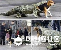 单身狗万圣节创意装扮 · DFRobot_image_3.webp