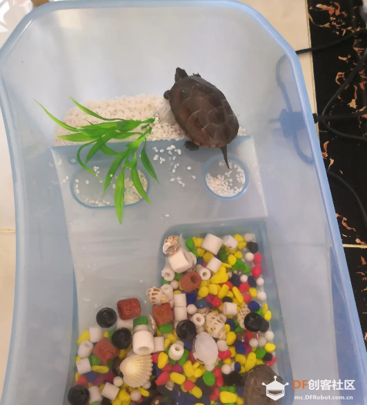 树莓派4直播神兽 · 玄武：24小时B站直播_image_3.webp