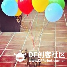 单身狗万圣节创意装扮 · DFRobot_image_6.webp
