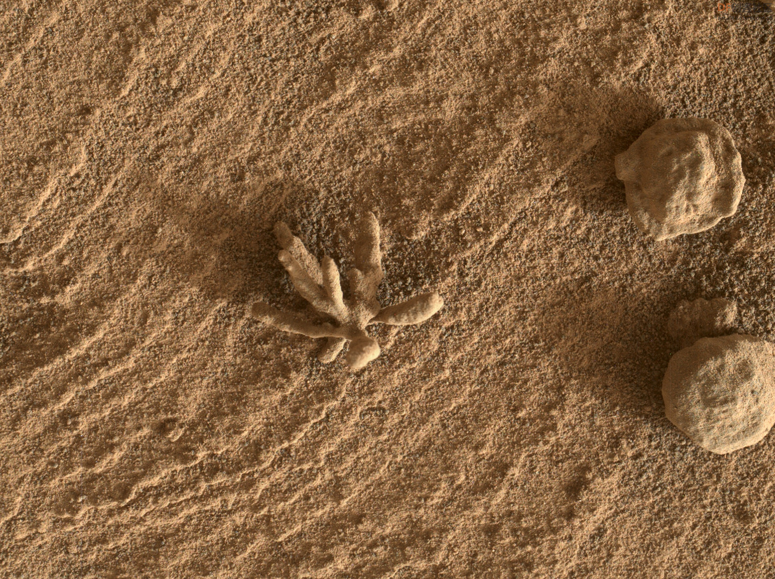 火星探索 · 毅力号火星车高清图片资源_image_3.webp