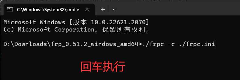 内网穿透 · 申请免费二级域名并实现外网访问_image_9.webp