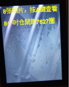 STEM教育 · 基于行空板K10的仓鼠活动监测器_image_39.webp
