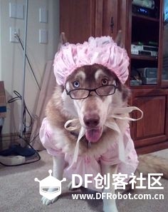 单身狗万圣节创意装扮 · DFRobot_image_9.webp