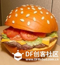 亲子第二弹 · 南瓜灯DIY：从基础到创意_image_6.webp