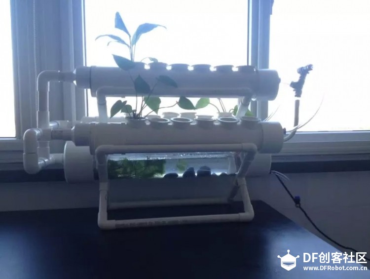 桌面级鱼菜共生系统 · 无土栽培DIY_image_3.webp